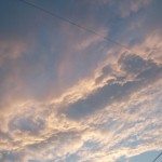 Thumbnail of post image 106