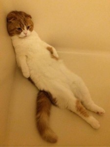 Thumbnail of post image 140