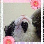 Thumbnail of post image 022