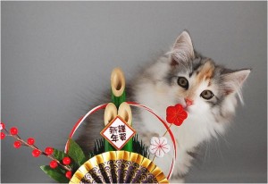 Thumbnail of post image 028