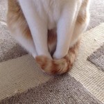 Thumbnail of related posts 069