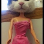 Thumbnail of related posts 000