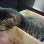 Thumbnail of related posts 016