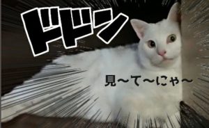 Thumbnail of post image 003